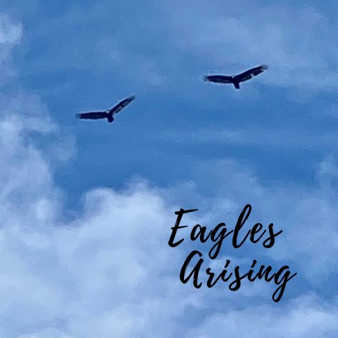 8290B496-D293-47C3-8136-2ADA89BC8EAF