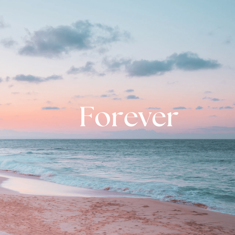 C77D873B-D398-44CE-8F45-51017568D153